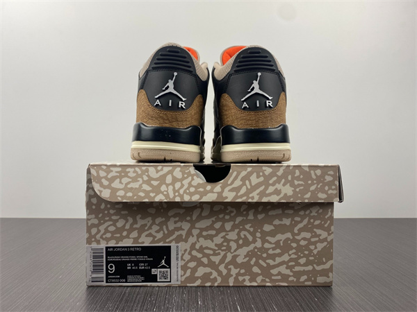 Jordan 3 Retro Desert Elephant CT8532-008