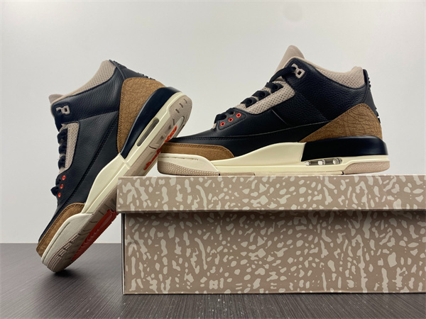 Jordan 3 Retro Desert Elephant CT8532-008