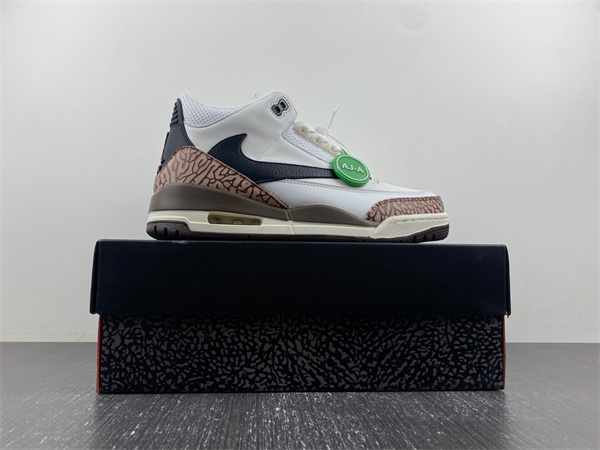 Travis Scott x Air Jordan 3