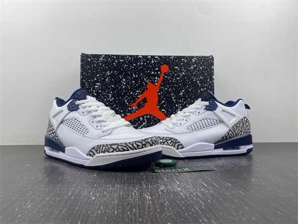 Jordan 3  Spizike Low  FQ1869-100