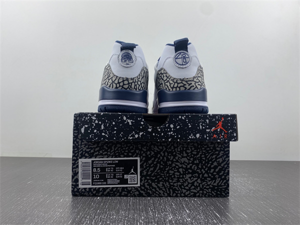 Jordan 3  Spizike Low  FQ1869-100