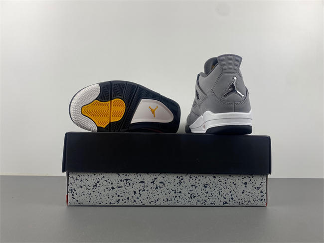 Air Jordan 4“Cool Grey”2019 308497-007