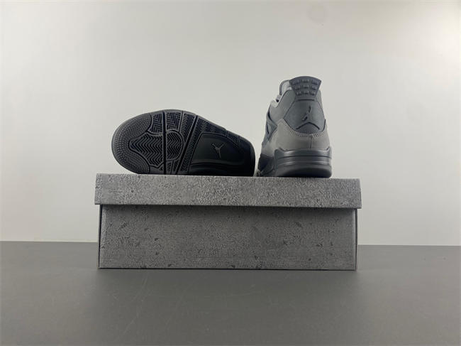 Air Jordan 4 SE “Paris Olympics”2024  FQ7928-001