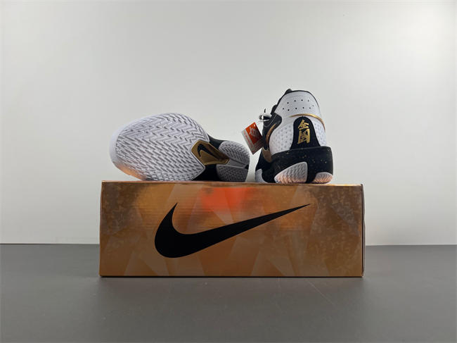 Nike Air ZoomX G.T. Cut 3  DV2918-101