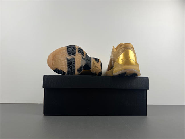 ZOOM KOBE 5  DB4796-555