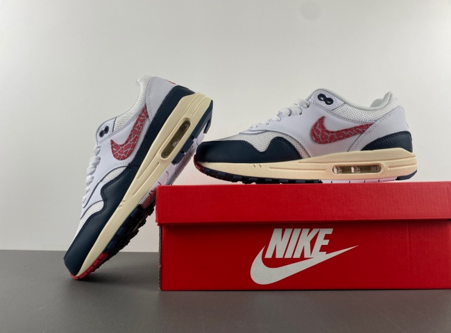 Nike Air Max 1 DH1348-146