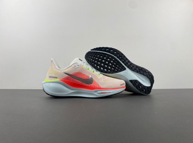Nike Pegasus FD2723-100