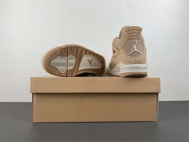 Air Jordan 4 Retro HV0823-200