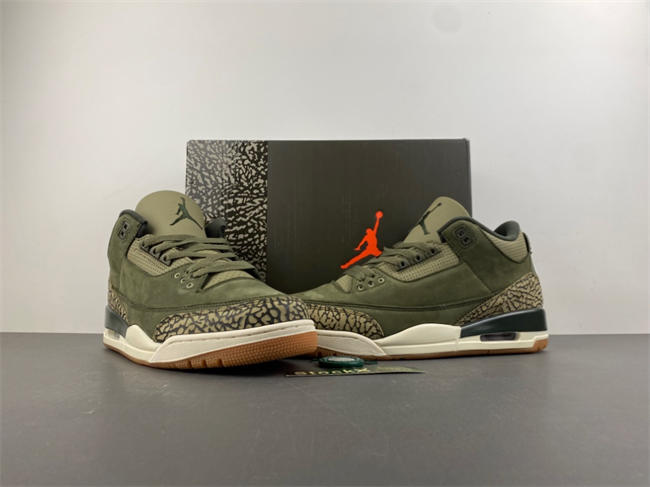 Air Jordan 3 “Family Affair” DN3707-202